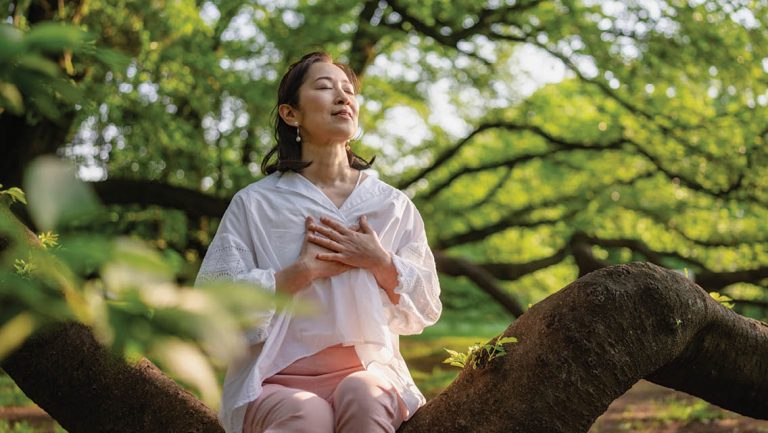 Lợi ích của tắm rừng - Forest Bathing: Liệu pháp sống cân bằng từ thiên ...