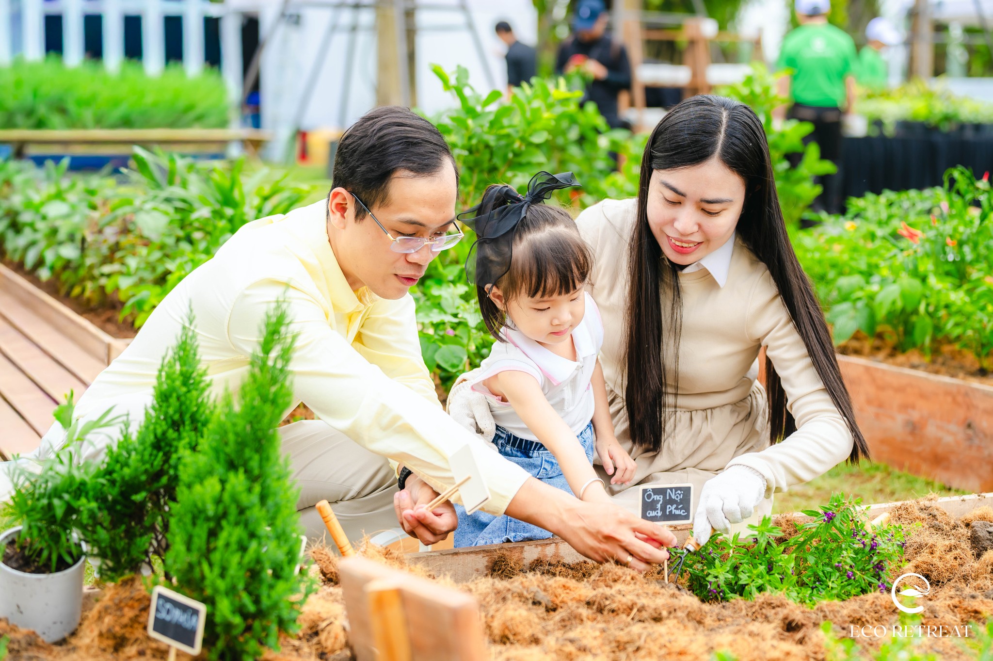 Retreat Forest – Bước chuyển từ đầu tư bất động sản sang đầu tư sức khỏe