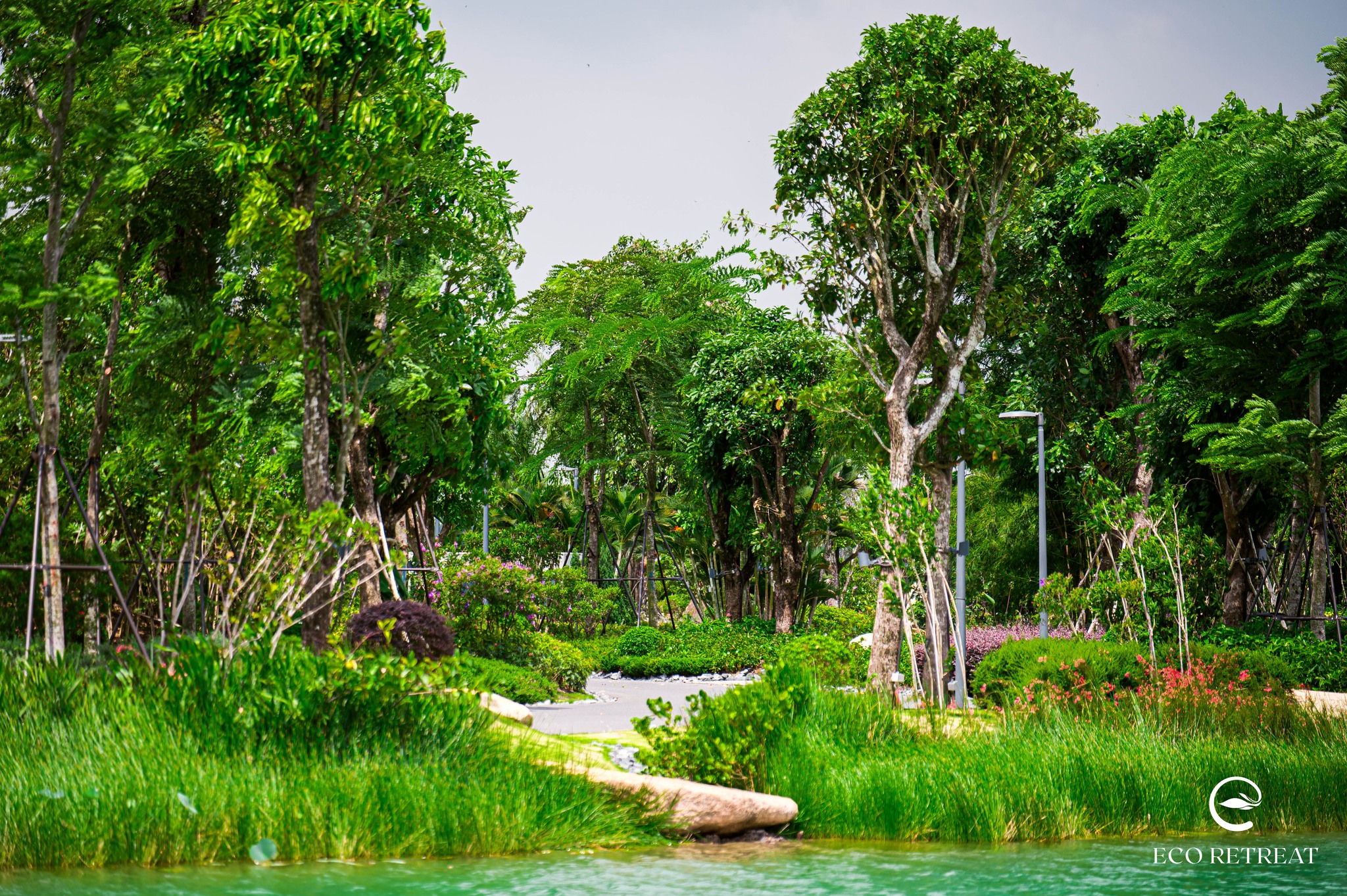 Khám phá túi rừng Retreat Forest có gì đặc biệt?