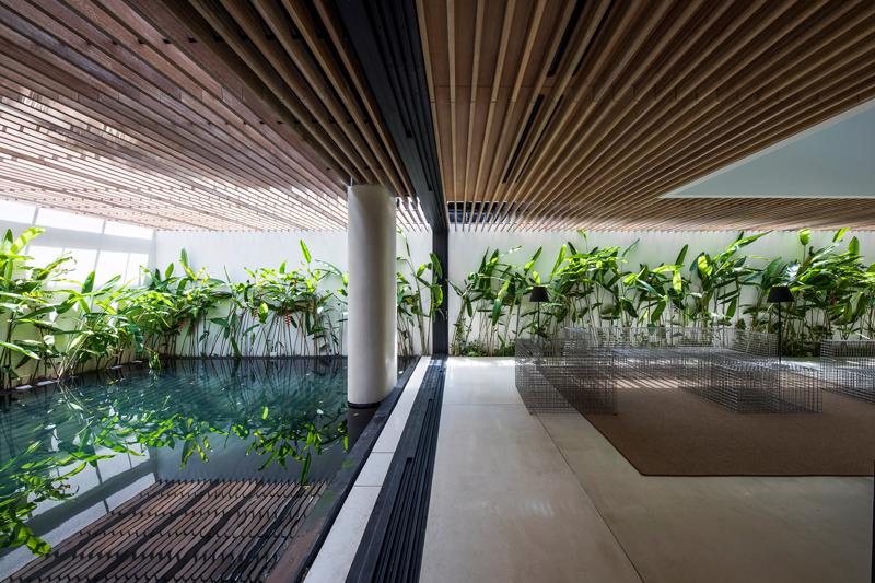 Biophilic Design đang trở thành xu hướng trong thiết kế kiến trúc hiện đại